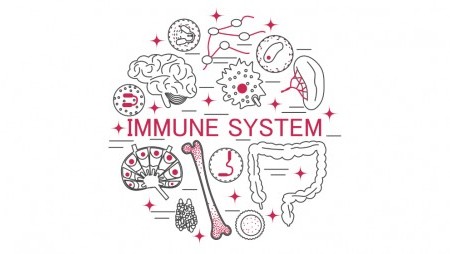 9 Dinge, die das Immunsystem schwächen
