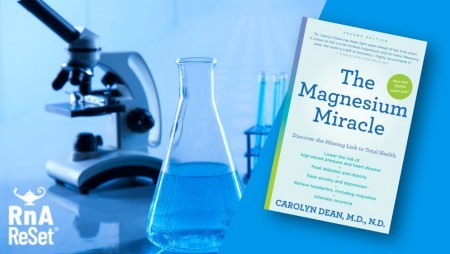 Entstehung des Präparats ReMag® - Liquid Magnesium